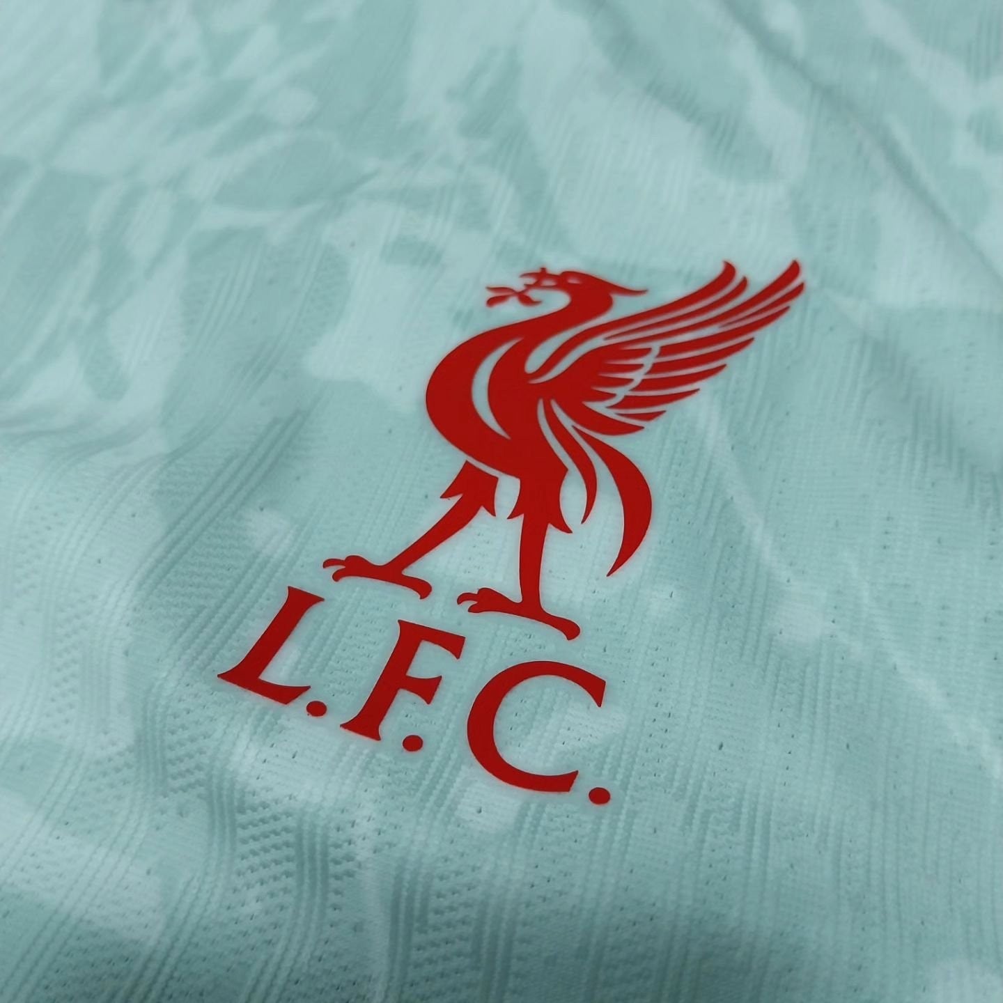 Liverpool Third Jersey 24/25